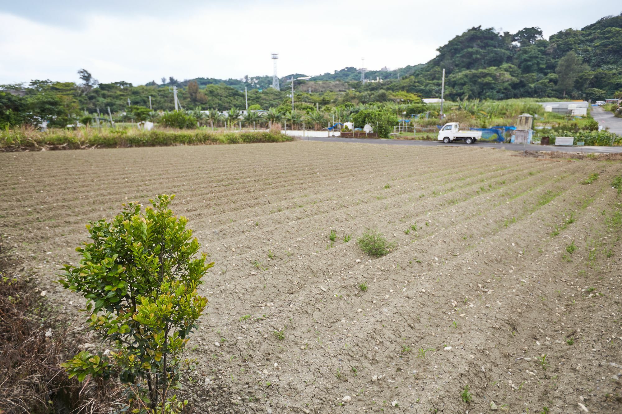Southern Village Okinawa Kitanakagusuku Екстер'єр фото